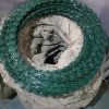 green razor coiled wire