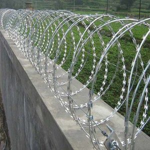 730mm double galvanized concertina razor wire installed on perimeter wall