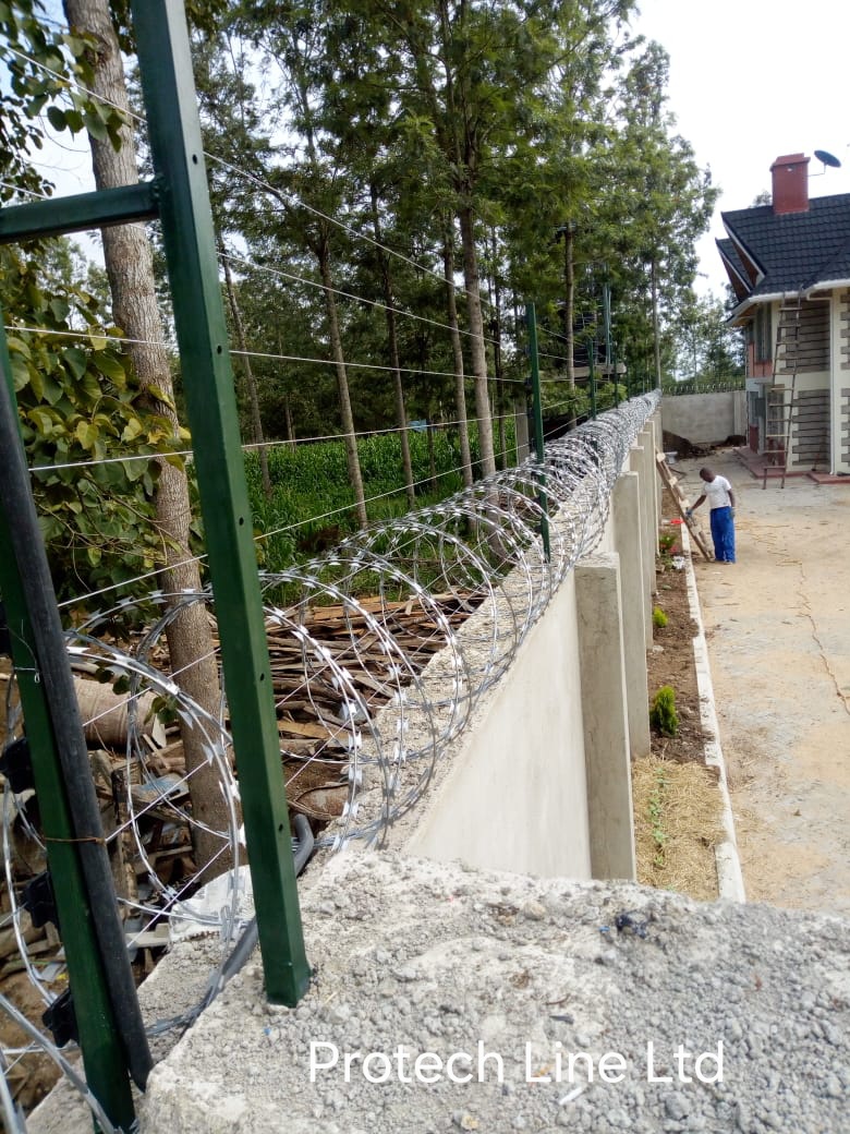 Wall-top electric fence installed above coiled concertina razor wire on a residential perimeter wall