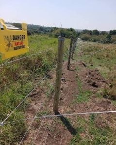 Solar powered electric fence done by Protech Line Ltd using wooden posts and 2.5mm HT wire